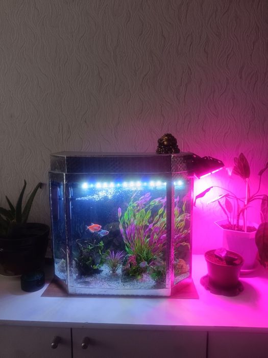 Продам аквариум с рыбками