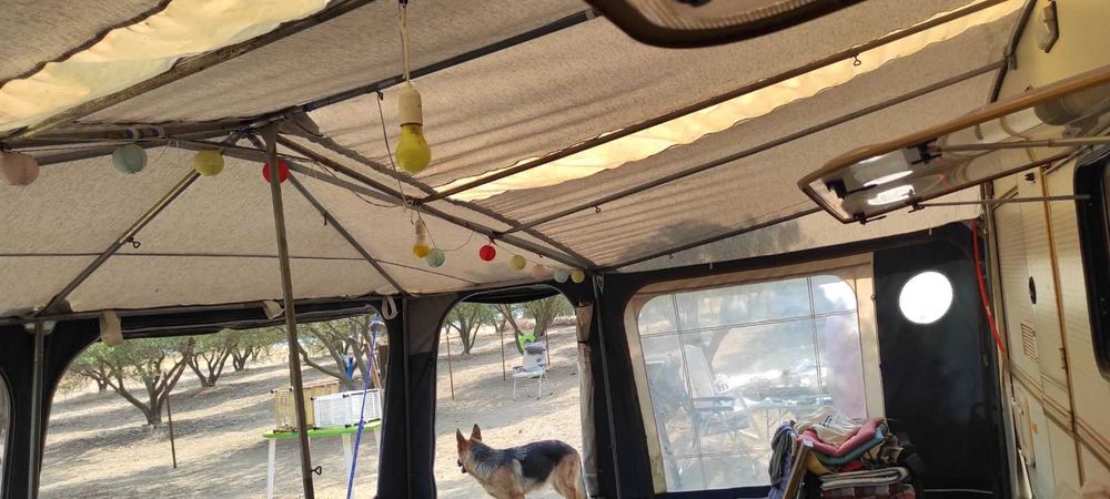 Форселт Изабела пента голд размер 1025