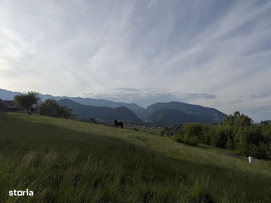 Teren intravilan 1400 mp in satul Pestera, Comuna Moieciu, zona Bran