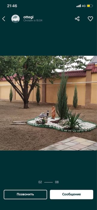 Газон и автополив