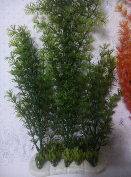 Продаю водоросли для аквариума