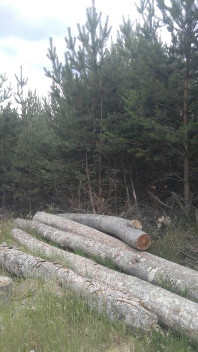 Продава се Земеделски имот в с. Кремен, Област Благоевград -  кв.м за 8334 €/дка - Снимка #3