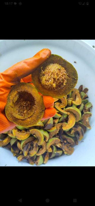 Tinctură de nuci negre 100 ml