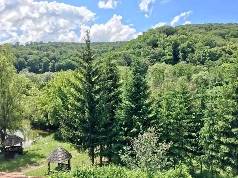 Chalet Hotel Restaurant Vanzare