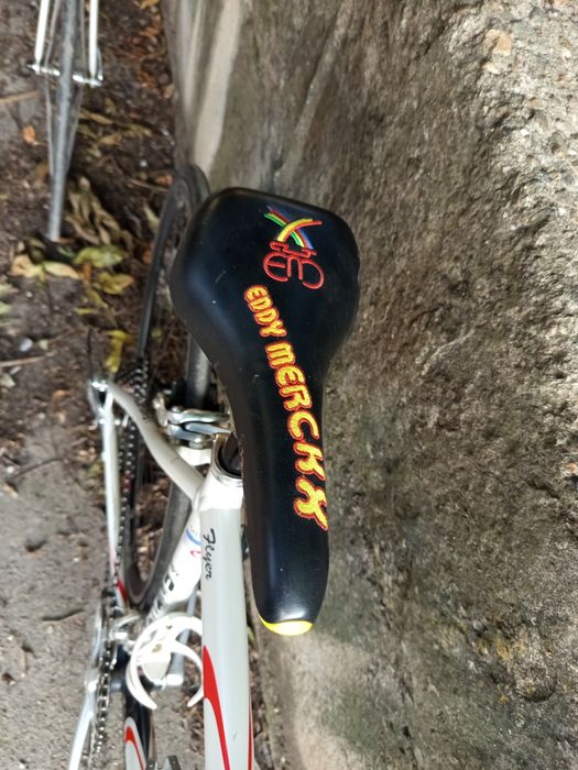 Велосипеди готови за употреба монтаж Campagnolo