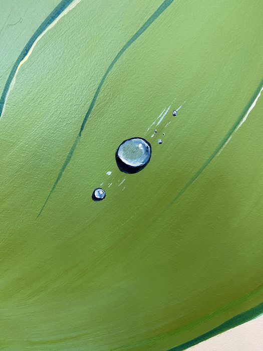 Ремонт на Дома. Рисуване на Стена. Декорация. Боядисване.