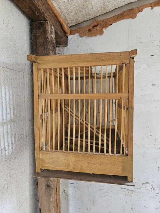 Клетка и хранилка