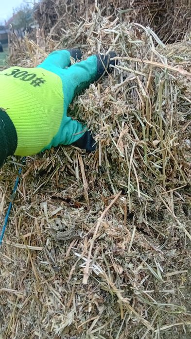 Baloți  de lucernă