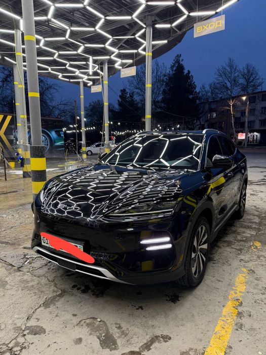 BYD Champion Ideal 605