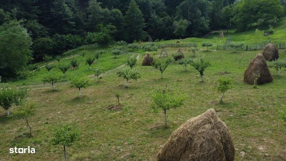 Teren de vânzare în comuna Cicănești, sat Bărăști, Judet Arges.