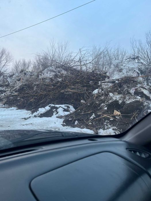 Дрова даром бесплатно самовывозом
