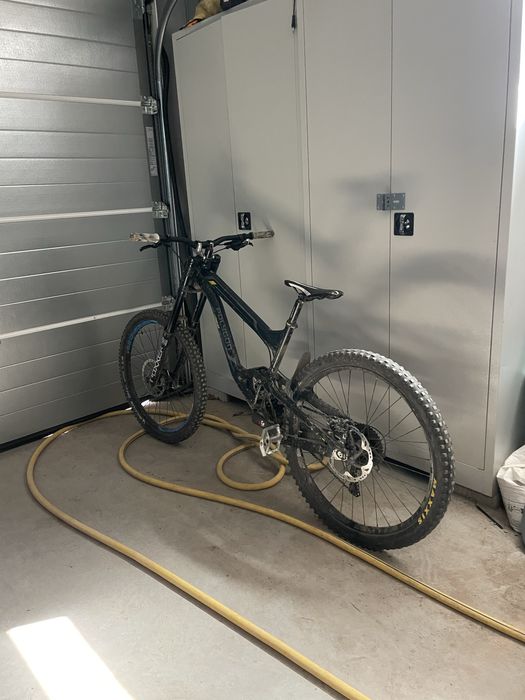 Polygon Collosus DHX