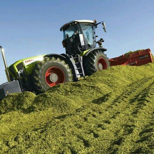 Селос Сотилади доник