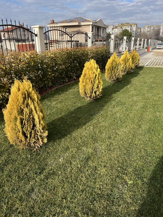 Професионално озеленяване и изграждане на поливни системи