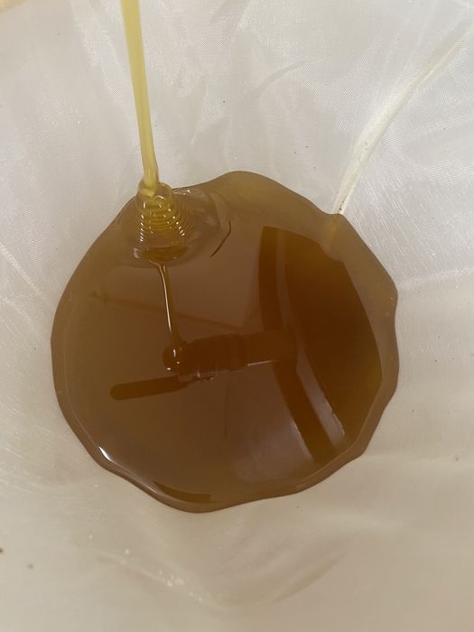 Продавам БИО пчелен мед в буркани 950гр на ЕДРО