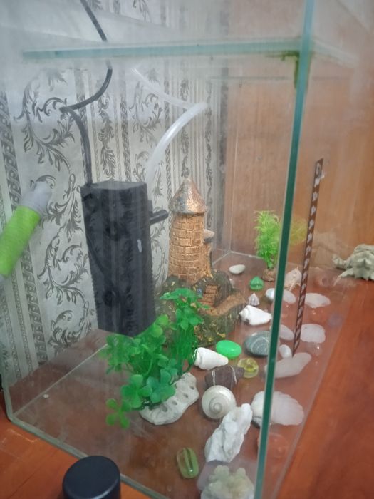 Продам аквариум 30 литров воды