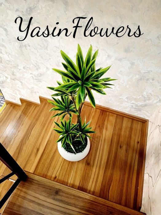 Суний гуллар. Искусственные цветы. Фито озеленения. Фито стена.