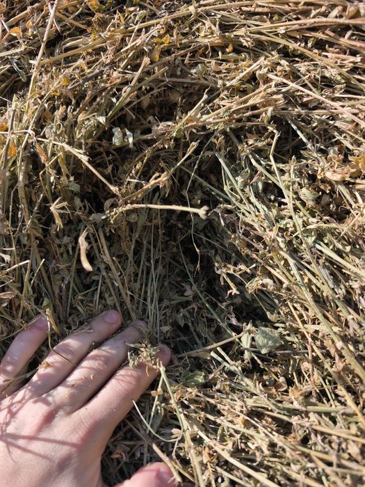 Vand baloti  lucerna ,coasa a doua ,280 ron