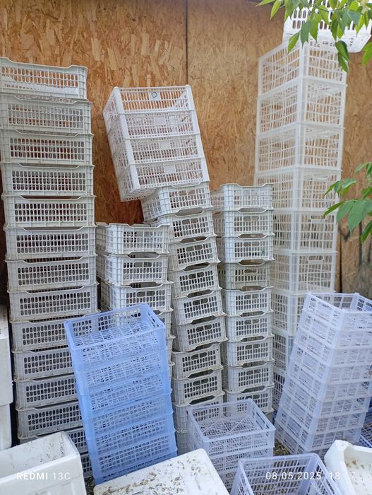 Ящики пласмасовые