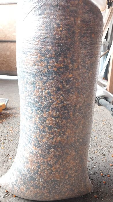 Vindem cereale 2025 / cantități mari/ Porumb/ Amestec cereale