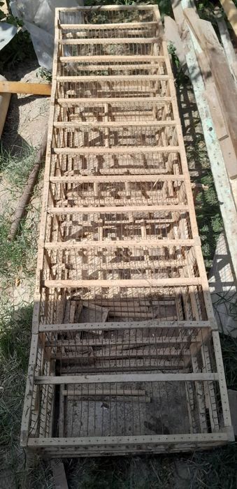 Qushlar uchun kletka inlar dublonkalar