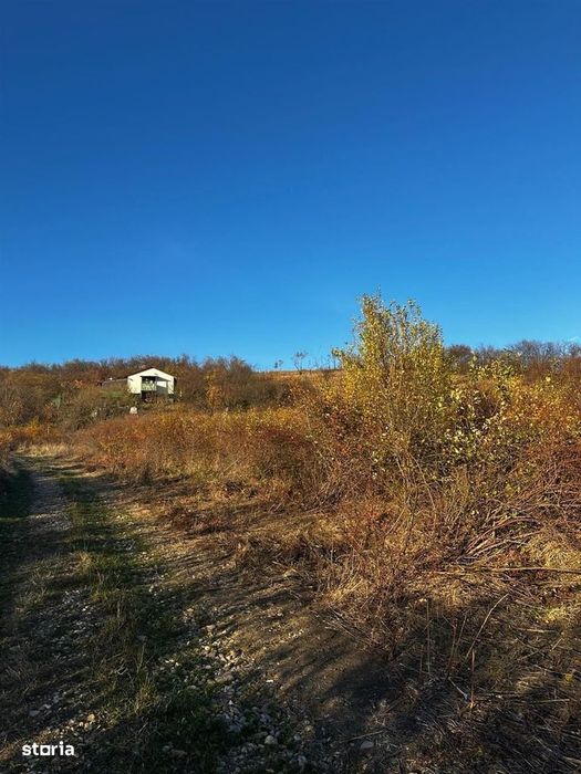 Teren intravilan lacul Hanul Pescarilor