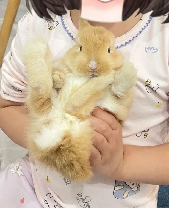 Jim bo‘lgan bola emas, mehribon bola