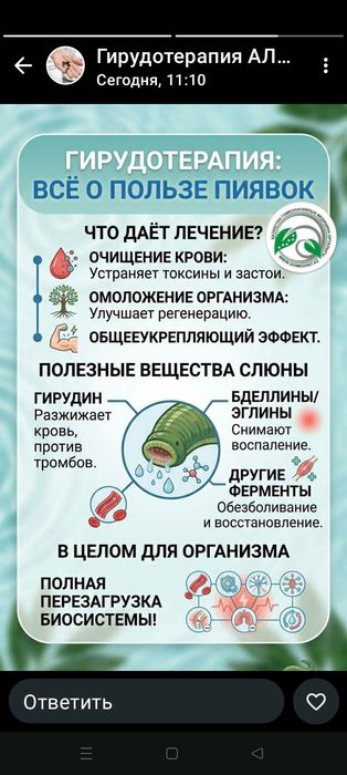 Лечение пиявками Суликпен емдеу