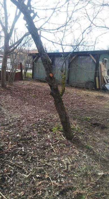 Продава се Парцел в с. Поцърненци, Област Перник - 660 кв.м за 29 €/кв.м - Снимка #10