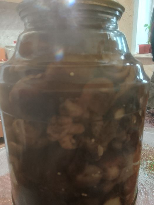 Грибы валуи 4000т