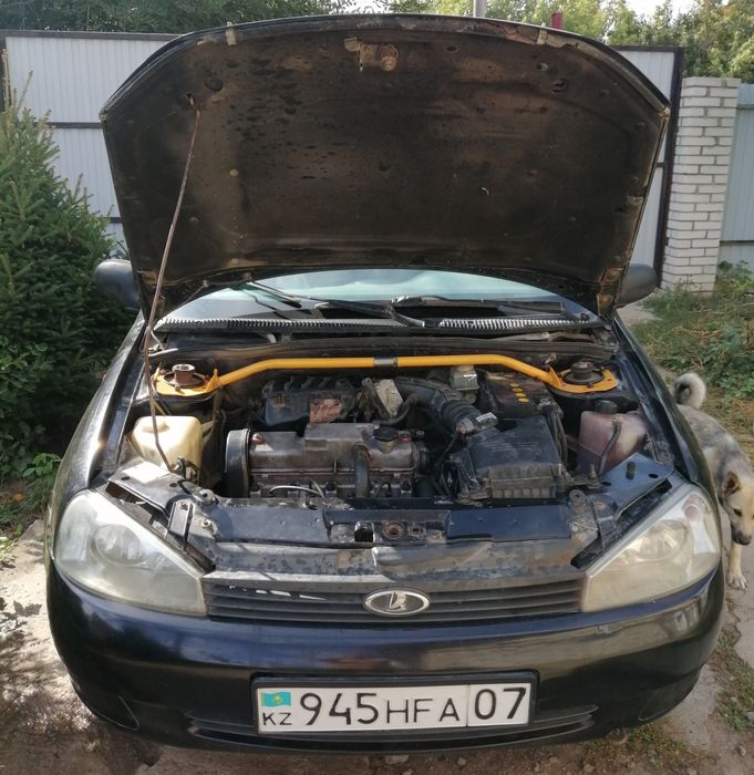 Калина универсал