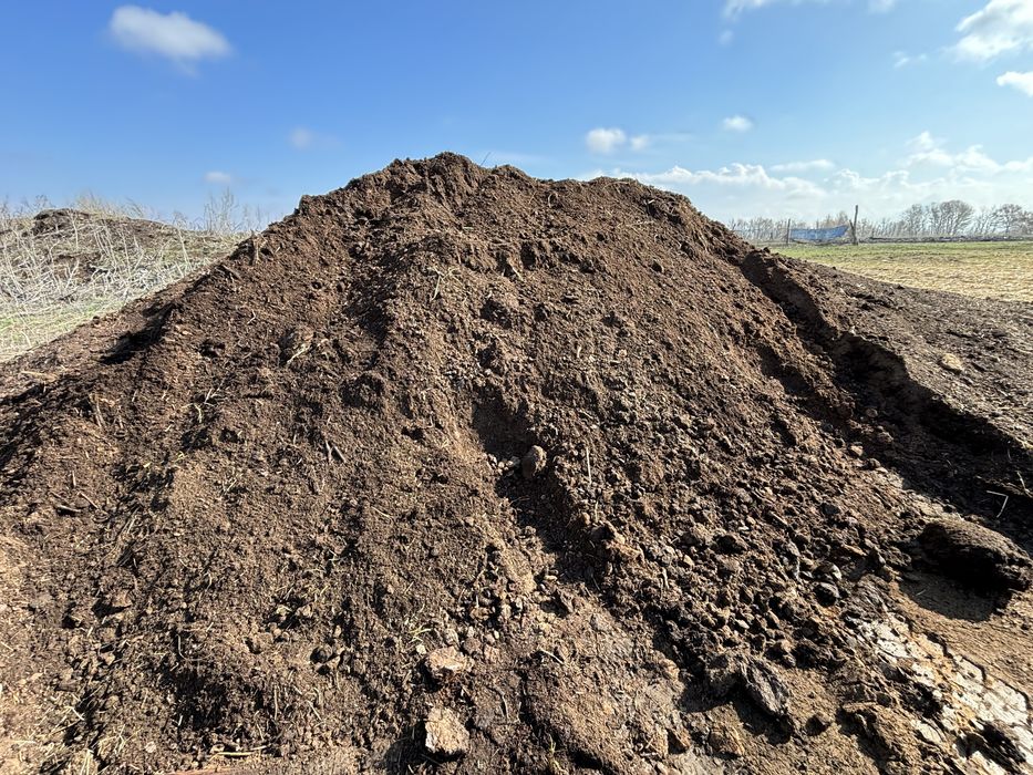 Прегной хороший доставка есть