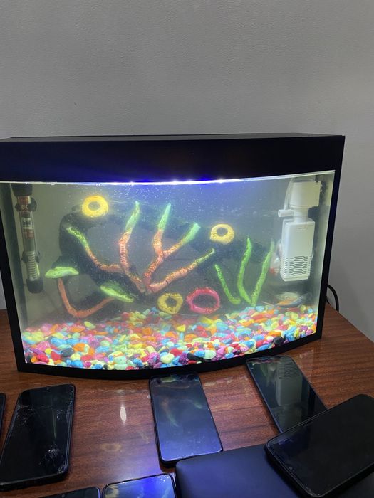 Akvarum sotiladi 35litrli