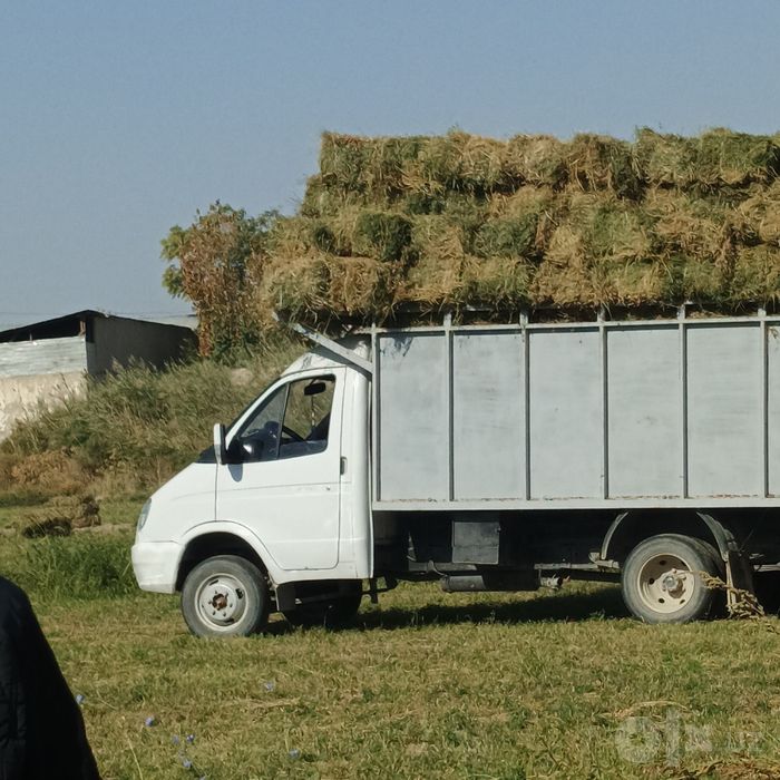 Газель бизнес змз