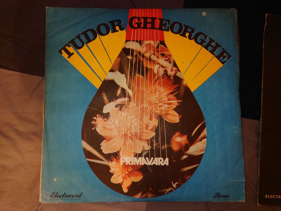 Discuri vinil [Tudor Gheorghe, etc.]