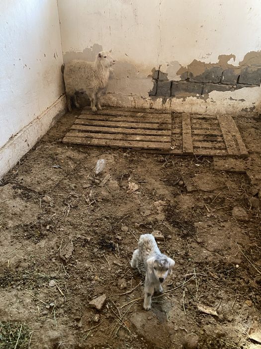 Срочно нужны деньги