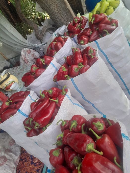 Balgarski urug Super lassika