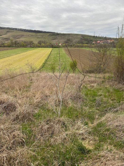 Vand teren extravilan in Pestisu mare