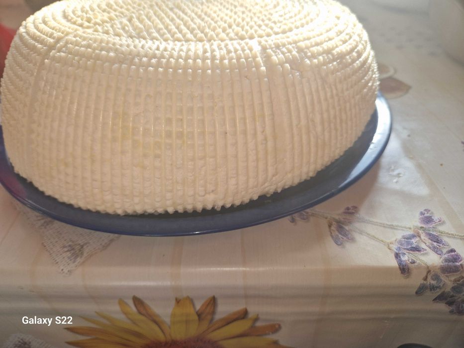 Brânză de vacă afumata/proaspătă/veche.