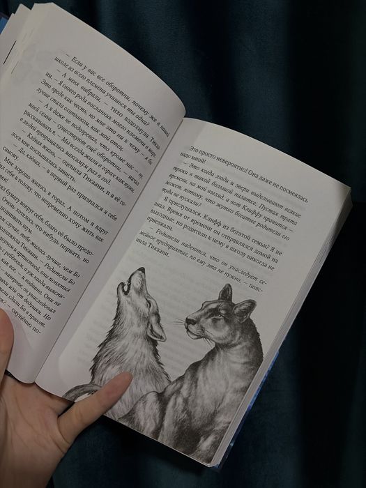 Книга «Дети леса»