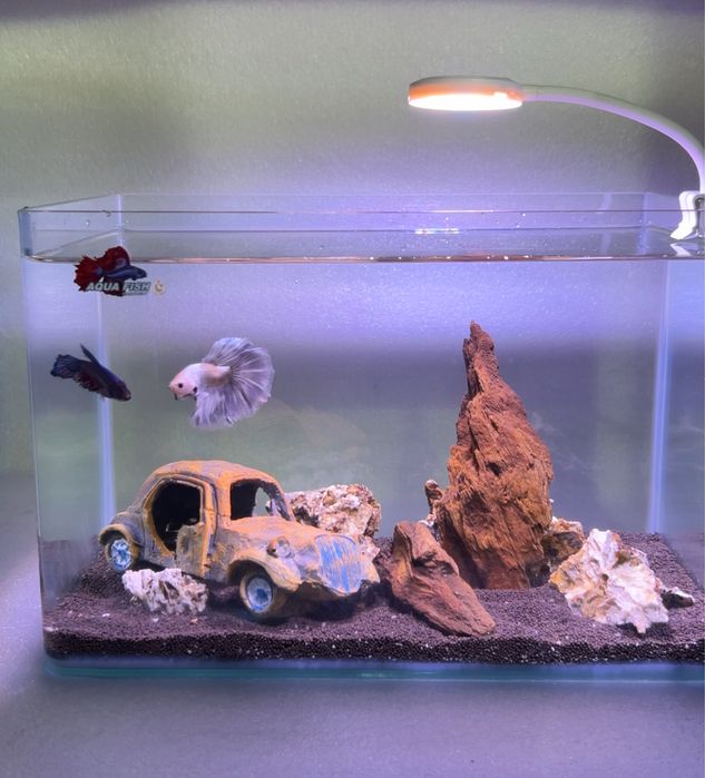 Аквариум комплект