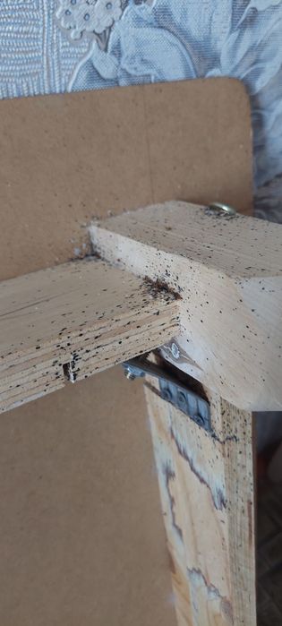 Дезинфекция  Қандаладан. Өңдеу