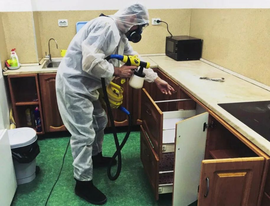 Dezinfeksiya Дезинфекция klop tarakan burga ilon клоп таракан запахи