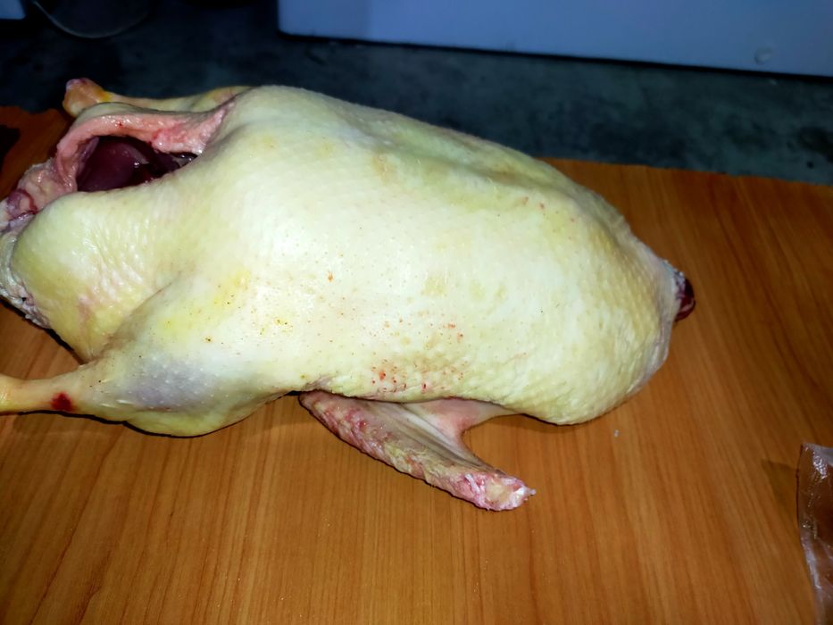 Свежий забой утки