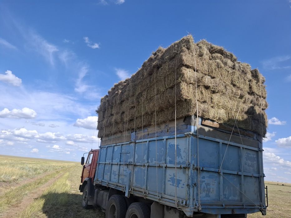 Продается сена по 450т