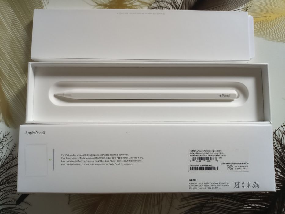 iPad Pro 11" 4th Gen (M2) 128GB Wi-Fi + Apple Pencil 2 - ca noi