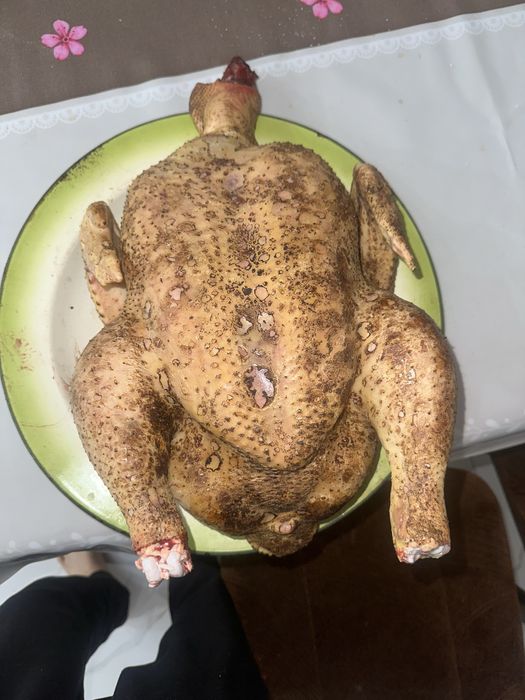 Бройлеры на мясо