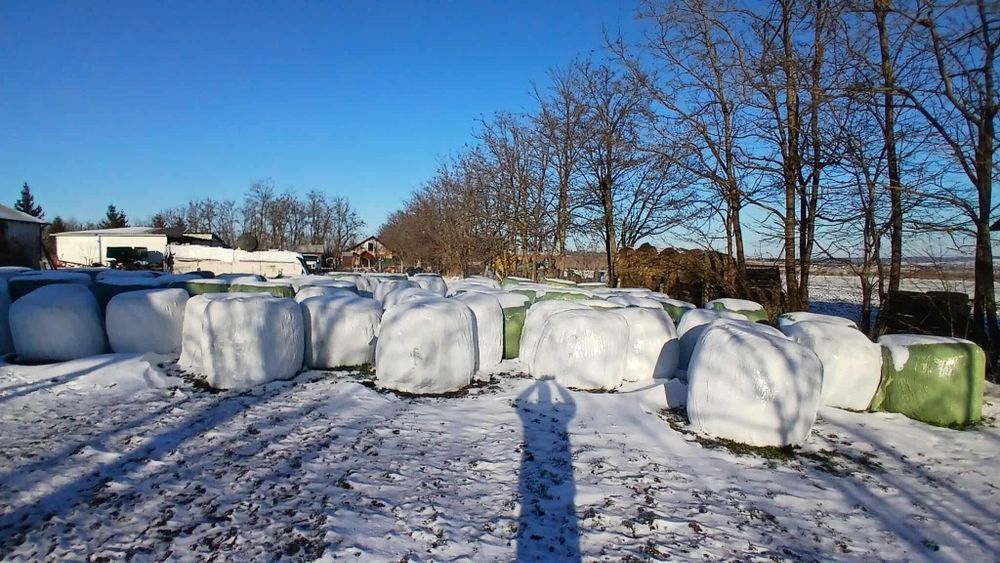 Baloti lucerna Producție 2025