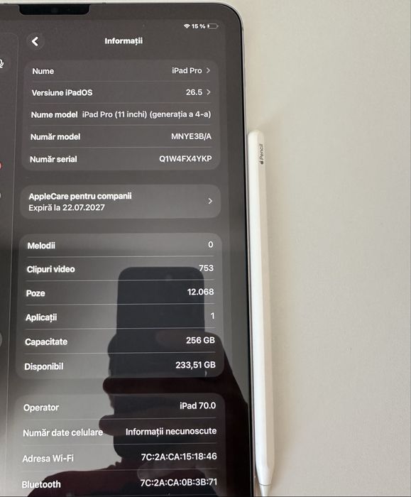 Ipad Pro cellular+wi-fi 256 GB