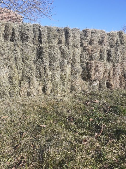 vând baloti de otava